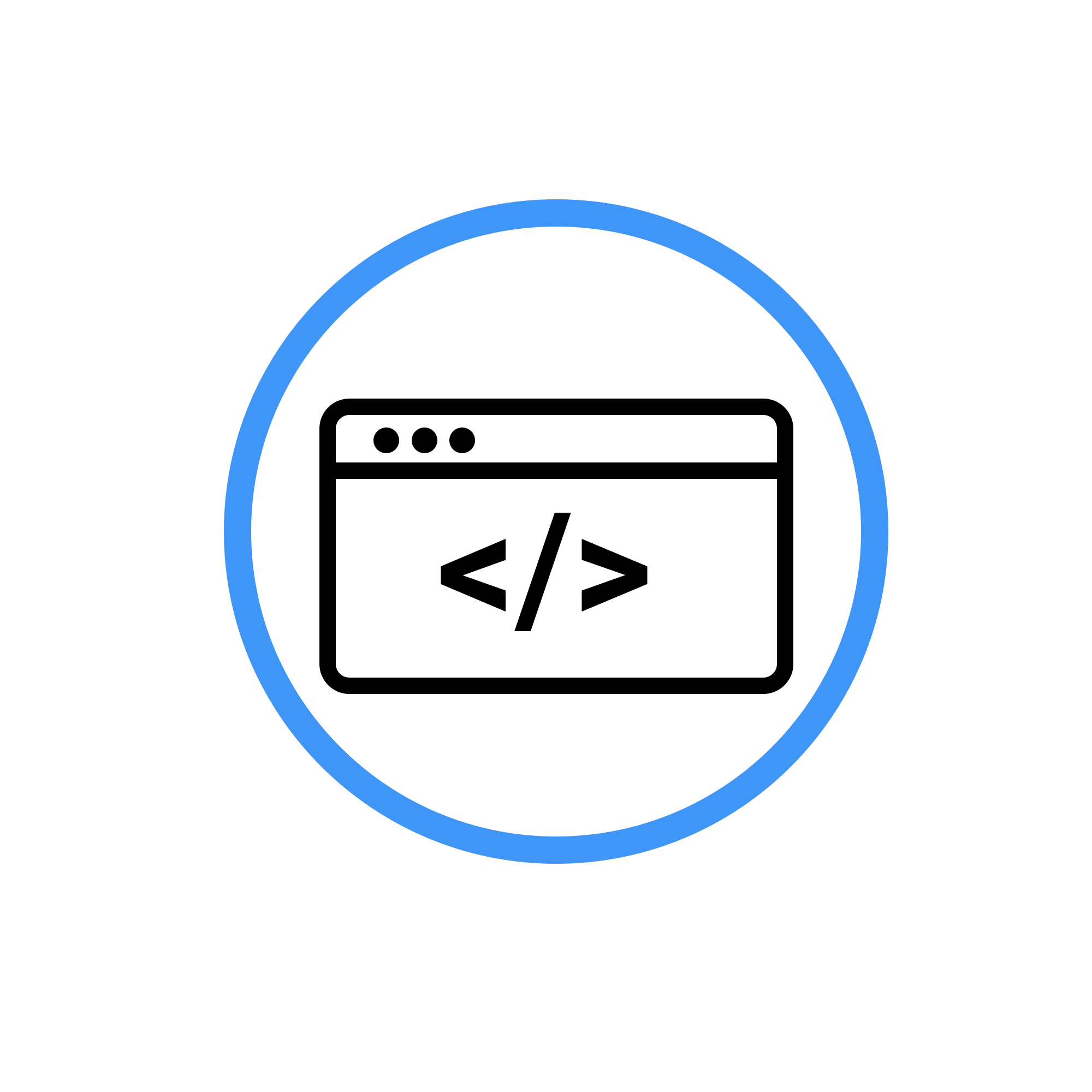 Developer